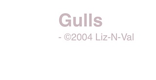 gulls-t